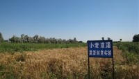 鄧州市農(nóng)業(yè)試驗(yàn)田工程